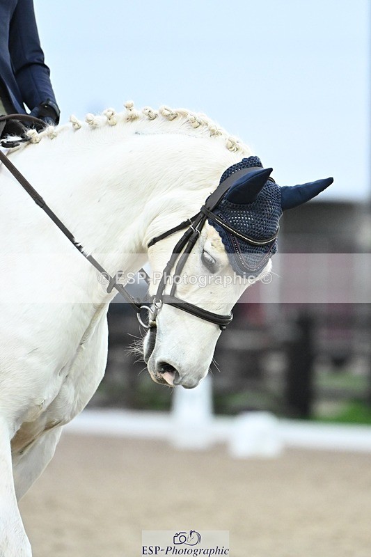 241103-160320-02907 - Prelim 2 - 15.59 to 17.10