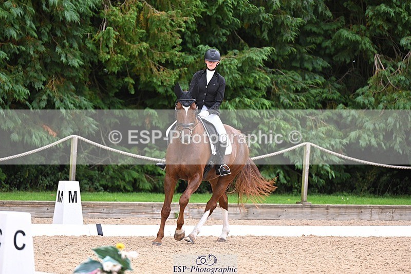 240809-121948-00745 - 185-Daisy.Hedges-Felicia.v