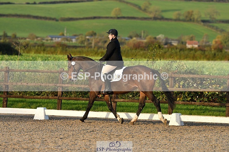 231105-154600-03883 - Cls 4 Novice 24 15.24 to 16.35 break