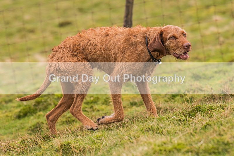 Keswick-127 - Inter Counties & Up and Down Mountain Running Champs (Junior & Senior Races) Sunday 21st April 2024