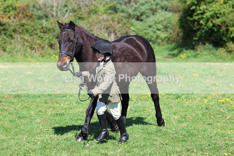3E7A9936 - Class 17: Young Handler