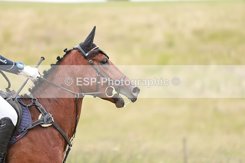 240630X-162036-9480 - 431-Kaci-Mae_Cadman-KNOCKAGARRON_BOBBY_BUI