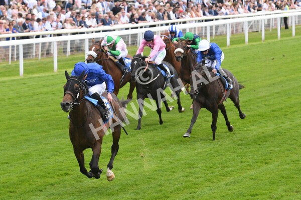 yr10062022r4-11 - Race 4 3.30pm Seat Unique Ganton Stakes