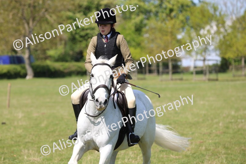 20250427-2610 - Class 20 - Working Hunter Ponies