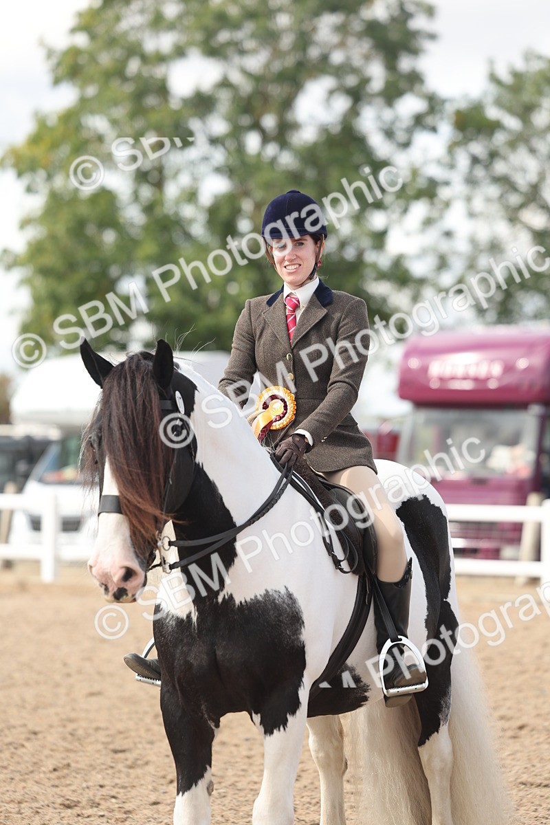 SBM_14853 - Class 308 - Ridden Coloured Horse