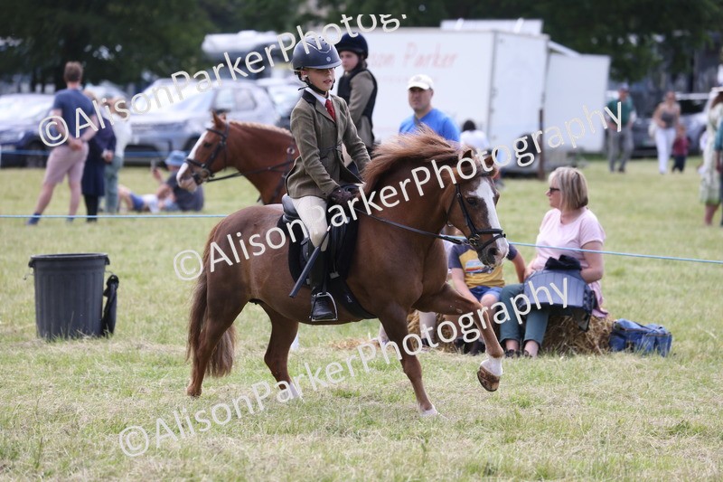 20260614-2098 - Class 21 - Novice Working Hunter Pony