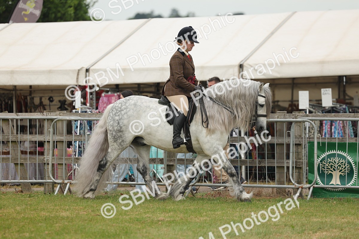 SBM_09093 - Class 78-80 - Ridden M&M Non Welsh Ponies