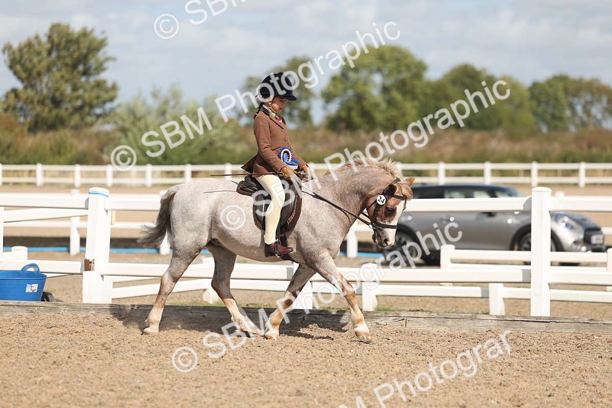SBM_23196 - Class 806 - Young Rider 10ry and Under