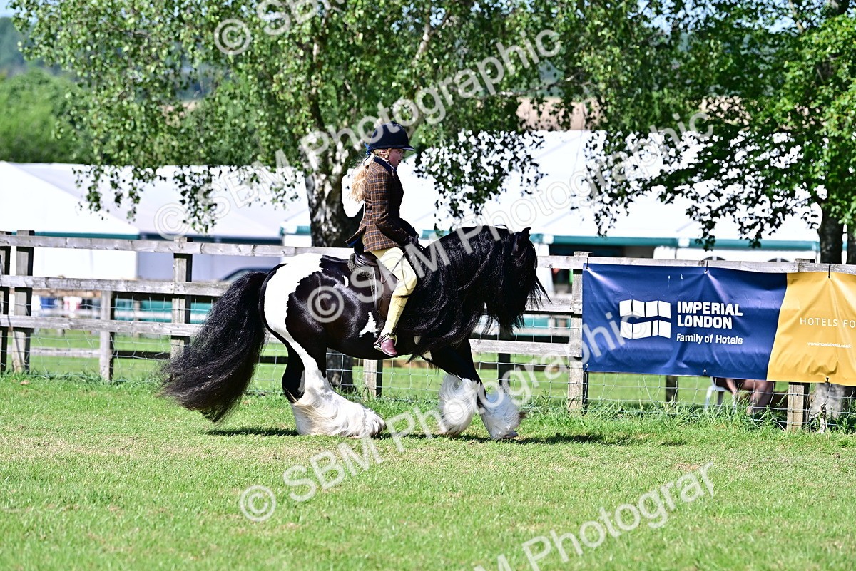 SBM_19362 - Class 101-102 - BSPS LIHS Performance Coloured Horse/Pony