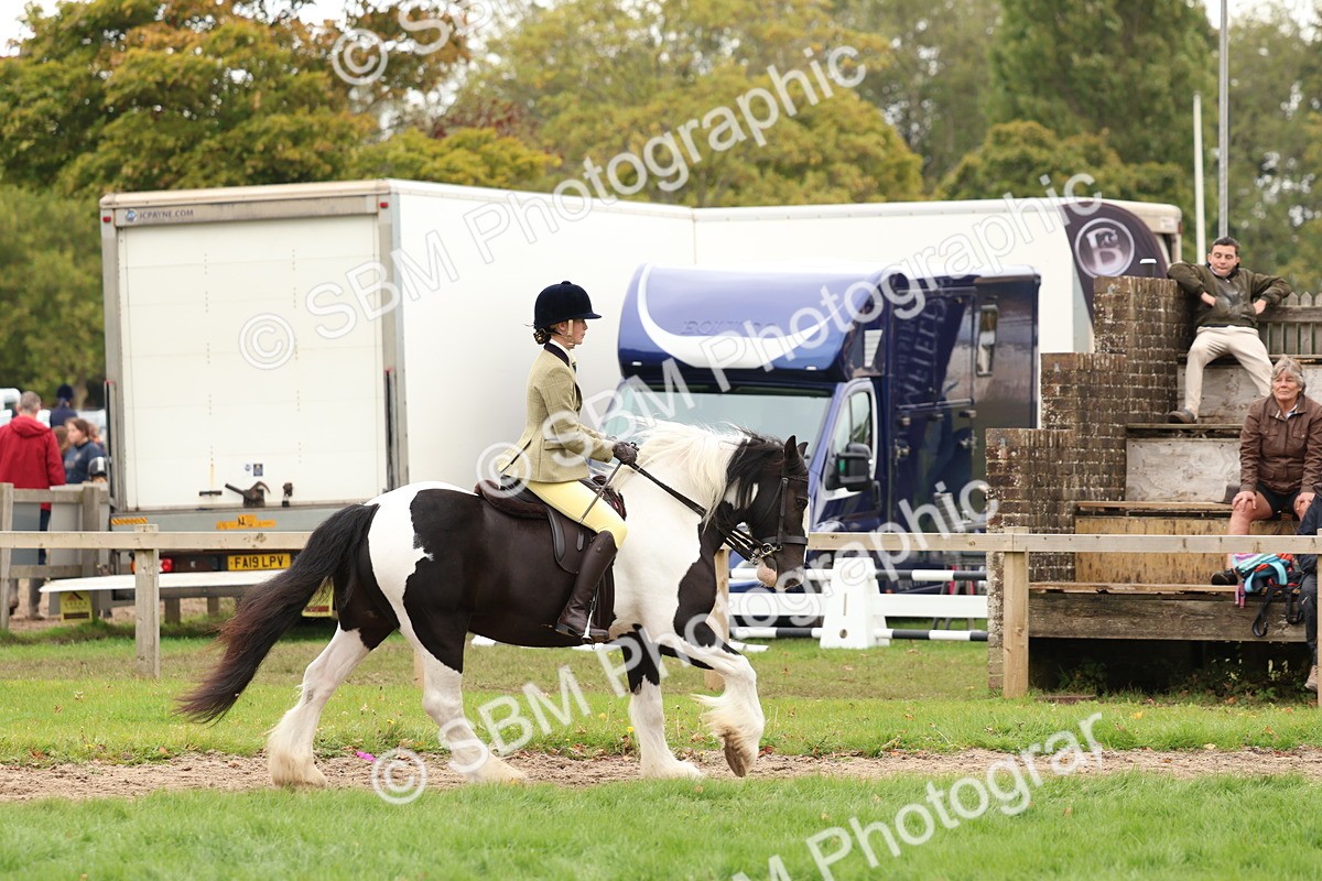 SBM_64503 - S58 - Coloured Pony Ridden