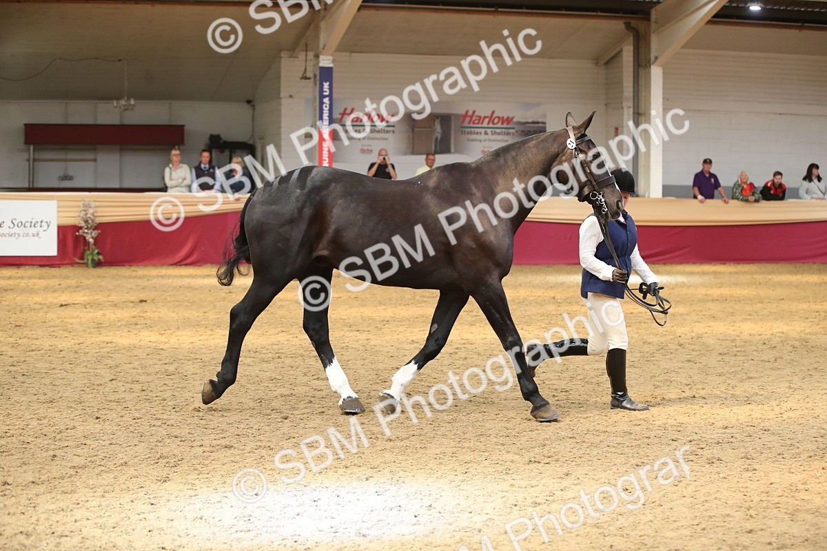SBM_05353 - Class 8R - Regional IH Veteran