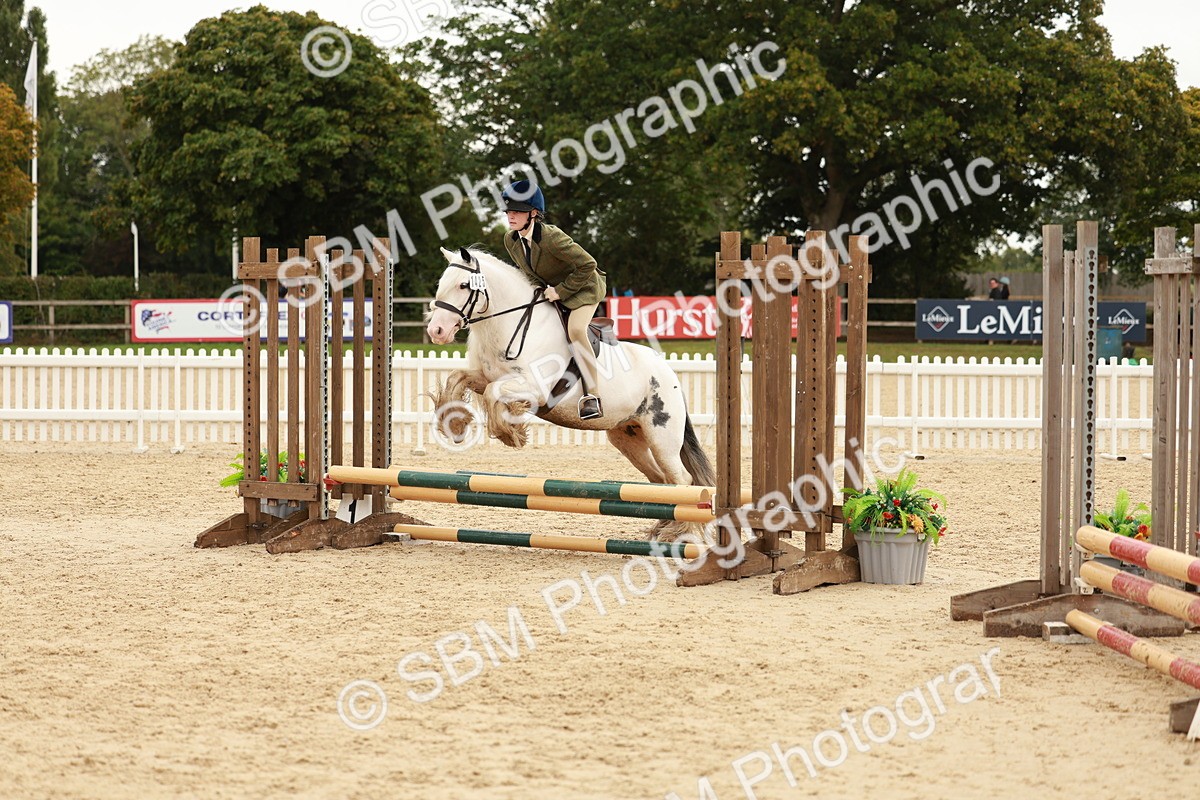 SBM_58058 - J11 - Junior Pony 50cm Championship