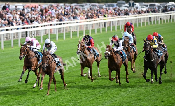 210825-172 Charlottes Web - Race 5 4.10pm British EBF & Sir Henry Cecil Galtres Stakes