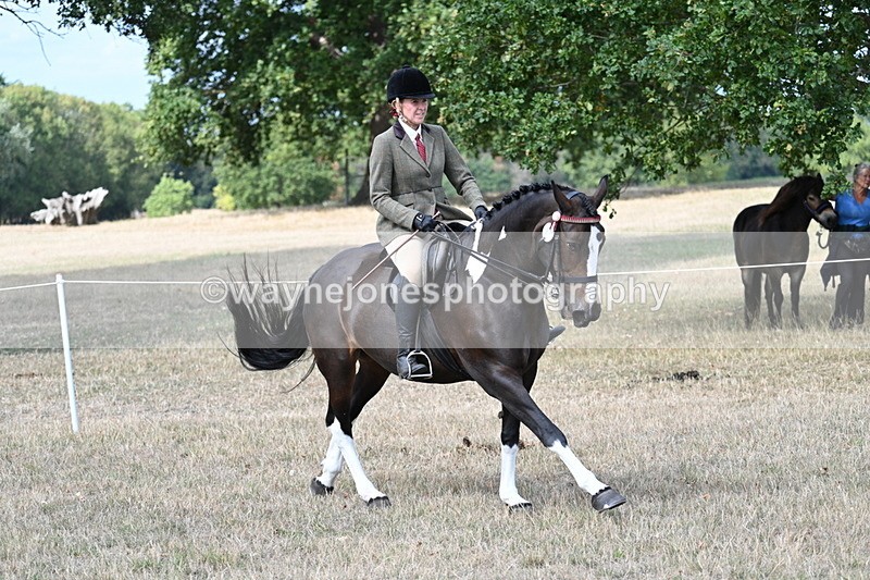 WJ7_6052 - Class 13 Ridden Veterans