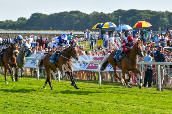 160623-Race 7-Diamond Bay-6578 - Race 7 5.21pm Constant Security Handicap