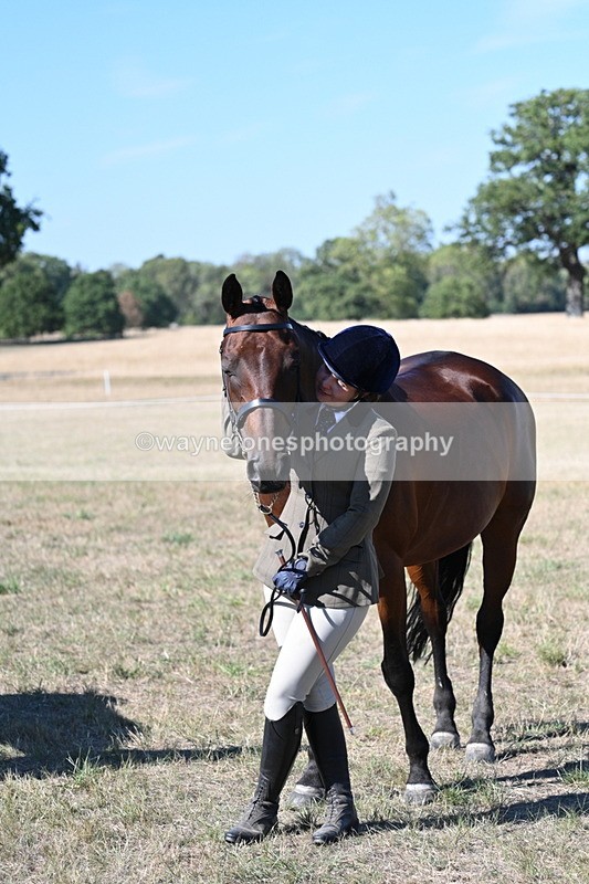 WJ7_1889 - Class 43 Best Six Legs (In hand)