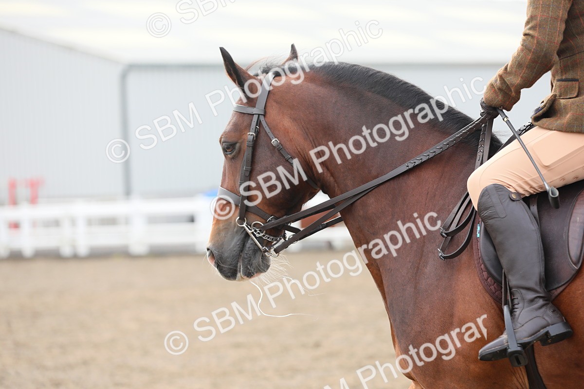SBM_21372 - Class 805 - Ridden Veteran Horse