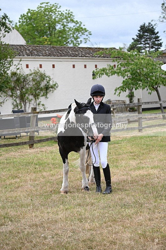 WJ6_4528 - Class 10 Coloured In-hand