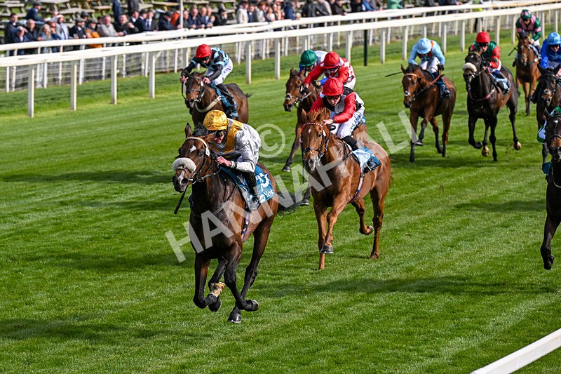 140526-Race 7-Arc Ole Ole-0414 - Race 7 5.15pm Frank Whittle Partnership Handicap