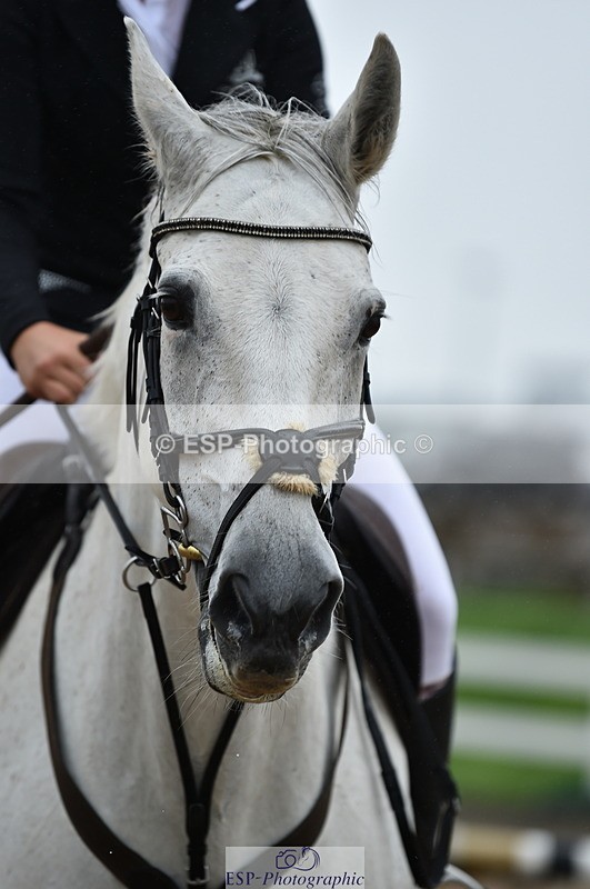 220829A-161458-00170 - 70cm Classes 3a 3b & 4