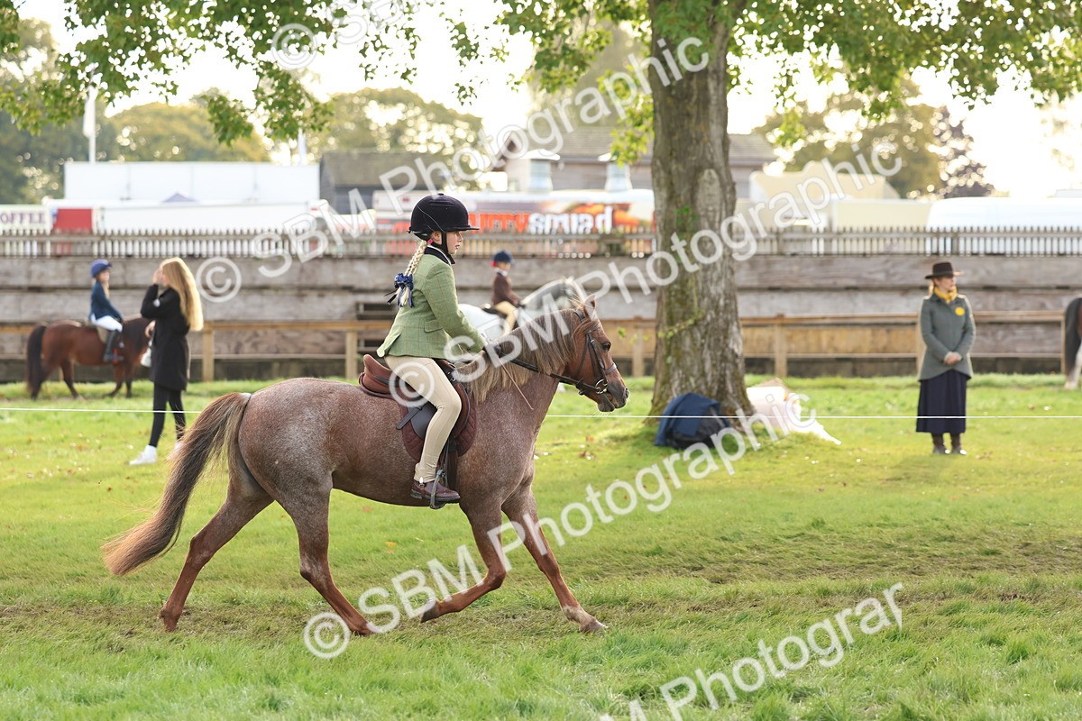 SBM_56583 - S40 - Starters Ridden Showing