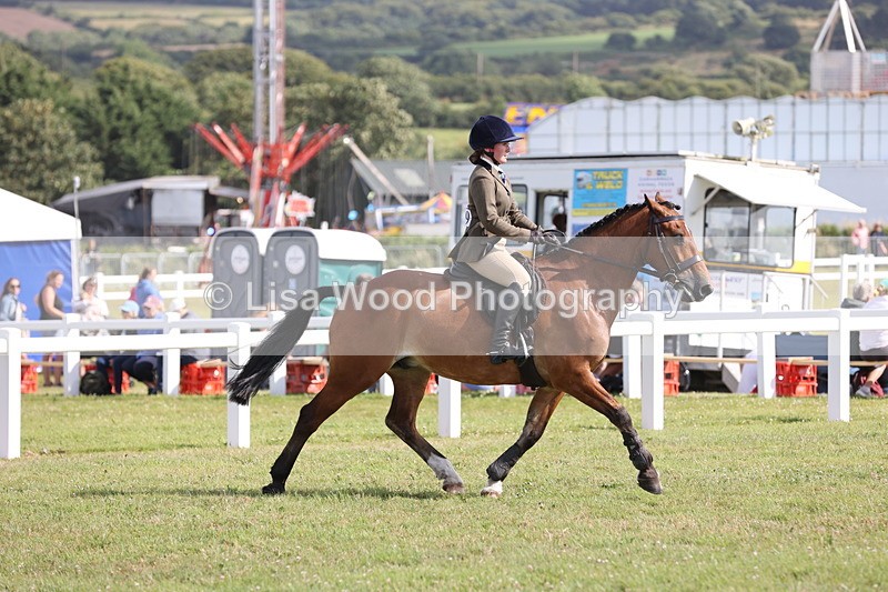 JPP_2635 - Class 20: Working Hunter 70cm