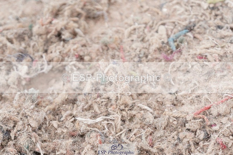 250505-123914-04344 - Cls 20+21 Club and Schools 70cm