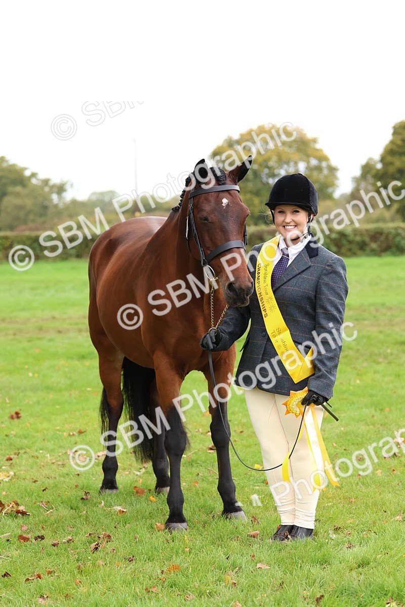 SBM_41747 - S26 - Mature Veteran In Hand