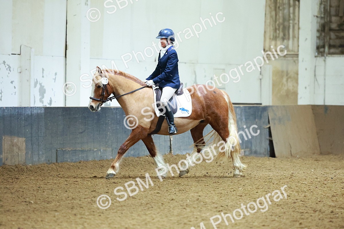 SBM_003630 - Novice 2