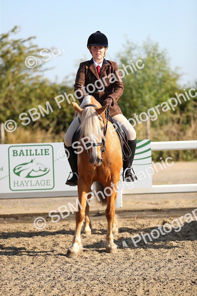 SBM_01154 - Class 42 Ridden Veteran