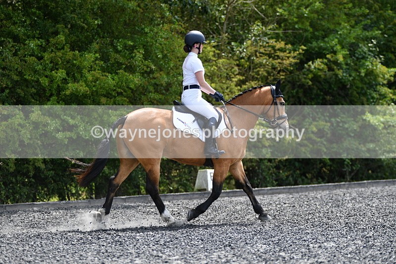 WJ5_0973 - Time 13:45 to 14:20