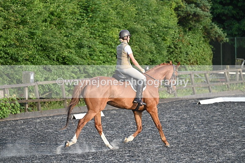 WJ7_0379 - Time 19:38 to 20:00