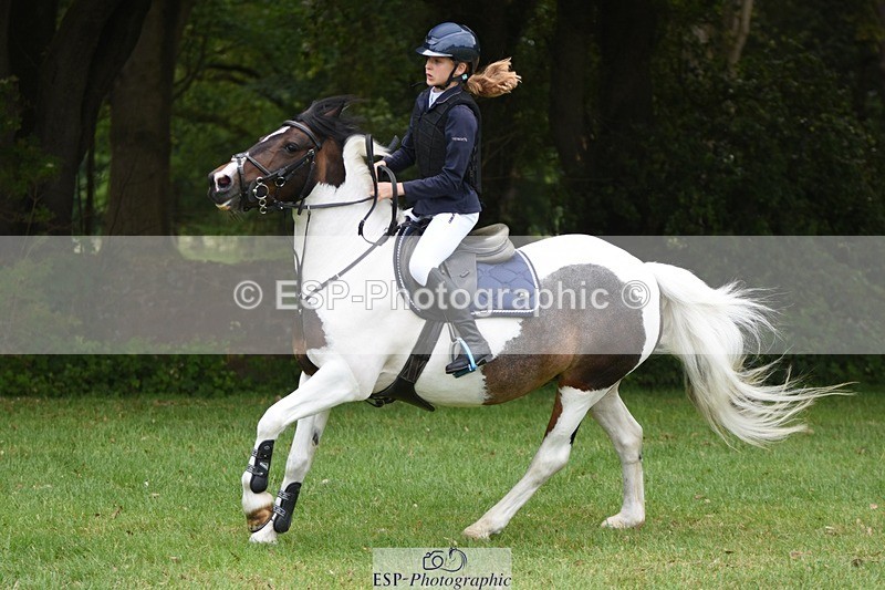 230617-101738-01859 - Cls 15 British Novice & 80cm Open