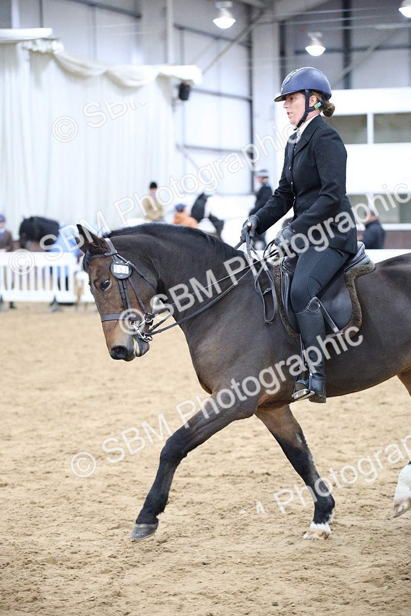 5K7A6081 - Class 48 - Ridden Mare