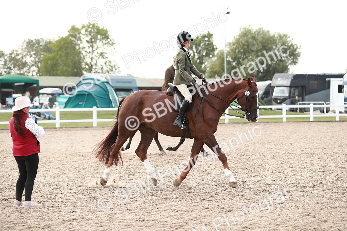 SBM_15503 - Class 213 Ridden Hunter -Large