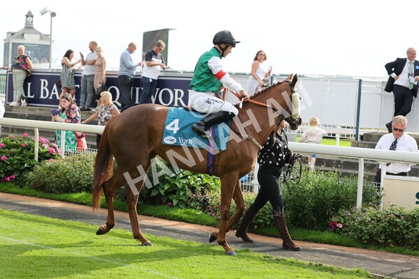 yr04092022r6-6 - Race 6 4.40pm Hanson Springs Stakes