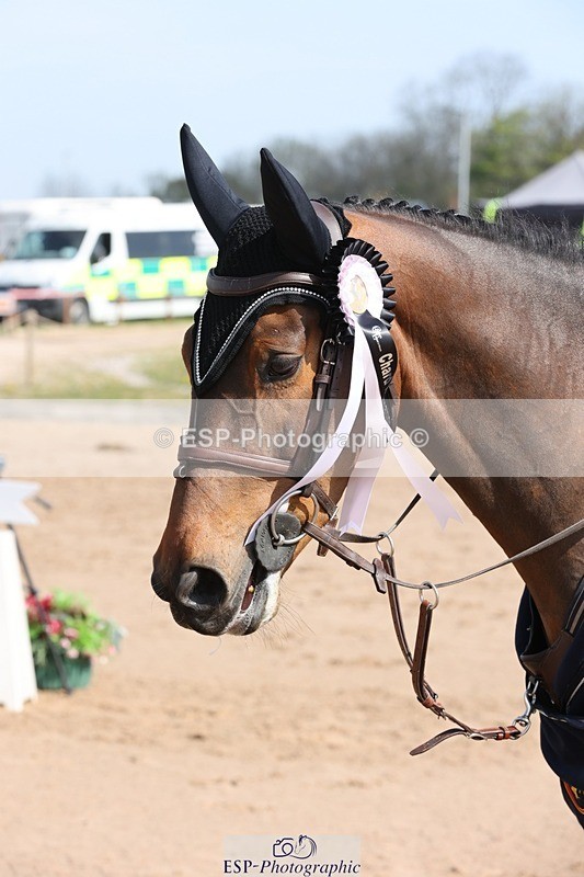 250427-102813-15345 - Cls 32 Young Horse 6yr old