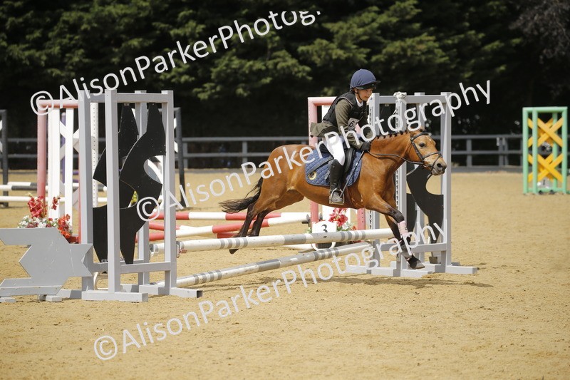 20250622-3985 - 50cm