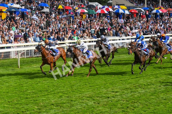 260823-Race 5-Summerghand-Albasheer-0765 - Race 5 Sky Bet Constantine Handicap