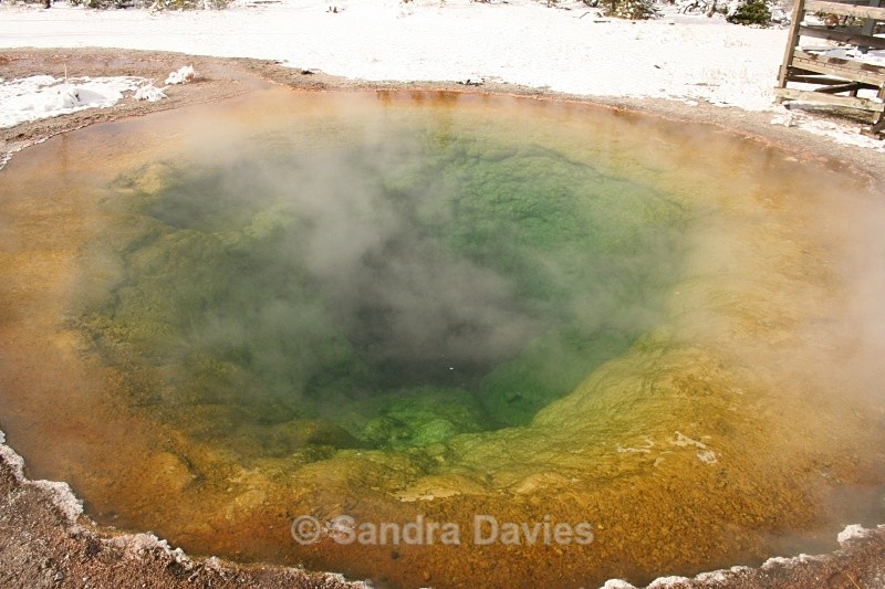  - Yellowstone