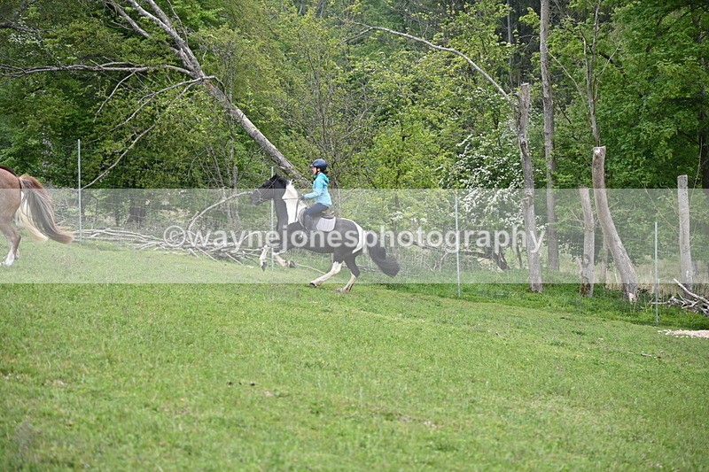 WJ6_3064 - A Camera