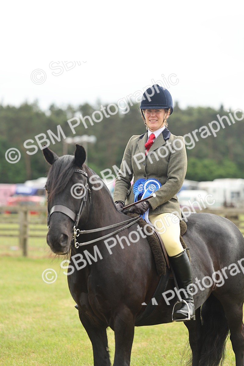 SBM_09159 - Class 78-80 - Ridden M&M Non Welsh Ponies