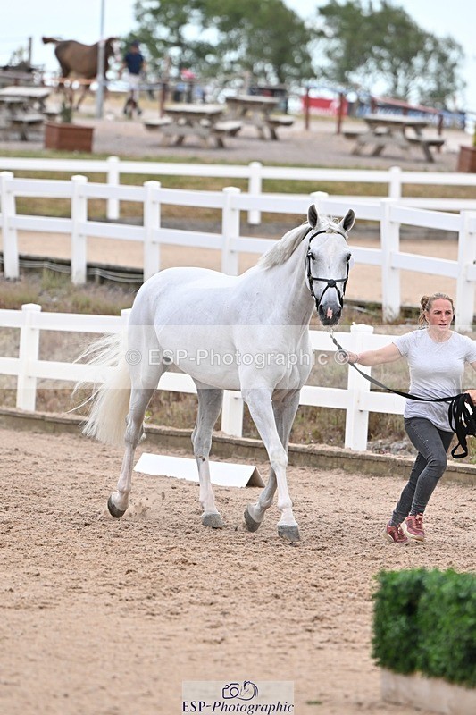 250716-141316-00979 - Trot Up 1.30 to 2.30