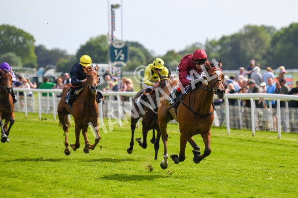170523-Race 4-Soul Sister-0578 - Race 4 3.35pm Tattersalls Musidora Stakes
