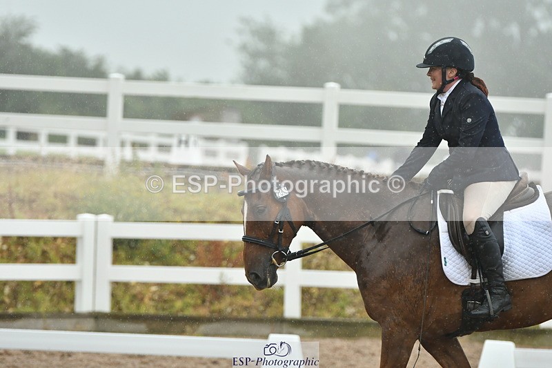 230708A-151120-03015 - Elementary 43