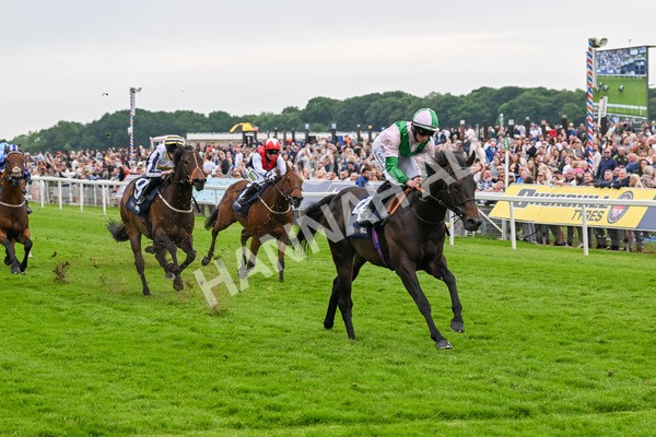 250524-Race 3-Starlust-3249 - Race 3 2.45pm William Hill Extra Place Races Daily Handicap