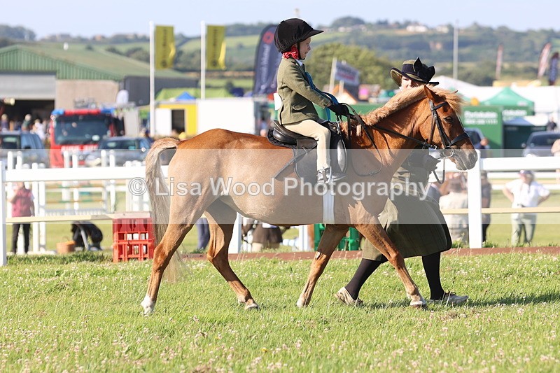 JPP_0932 - Class 16: Cornish Combination Leading Rein