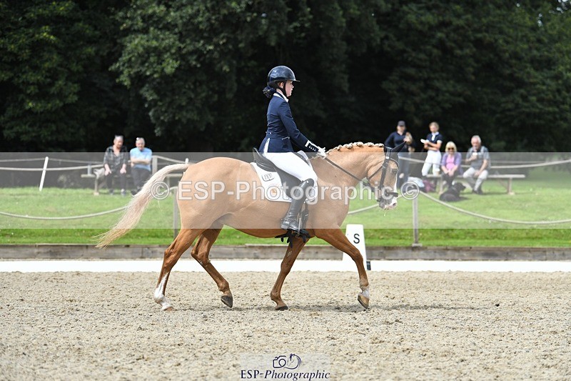 230812-123832-04167 - Cls 6 Novice Silver 12.10 to End