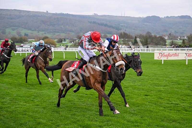 151124-Race 4-Sweet David-8237 - Race 4