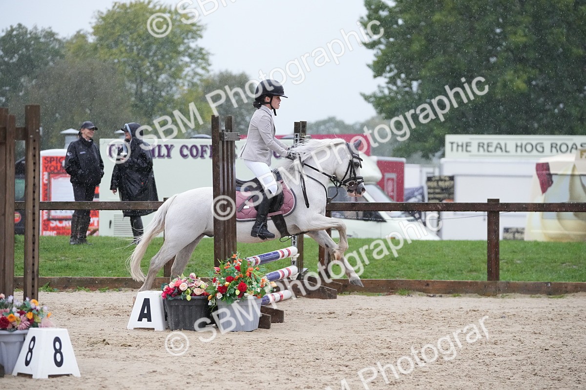 SBM_36137 - J5 - Junior Pony 50cm Championship